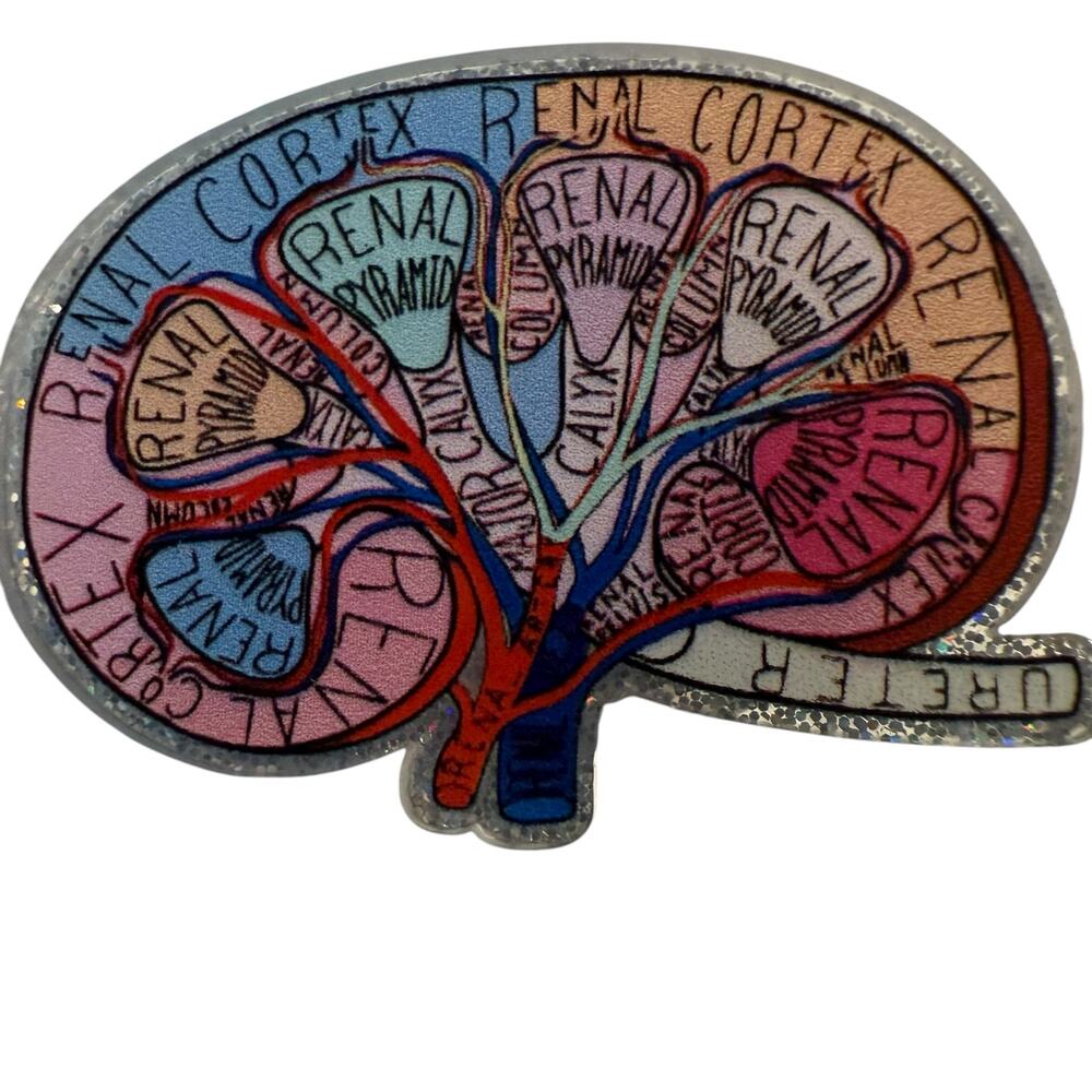 Anatomical Brain Retractable ID Badge Reel, Neurologist, Nurse, Neurology, NWT